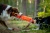 il_fullxfull.3453825560_y1cf.webp